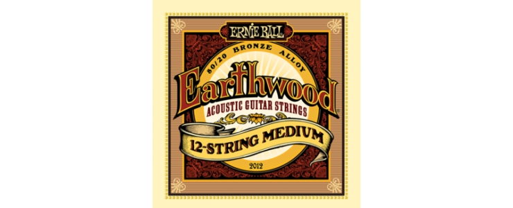 2012 Earthwood 12-String Medium