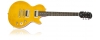 Slash "AFD" Les Paul Performance Pack