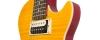 Slash "AFD" Les Paul Performance Pack