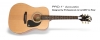 PRO-1™ Acoustic Guitar