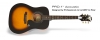 PRO-1™ Acoustic Guitar