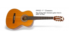 PRO-1 Classic Acoustic