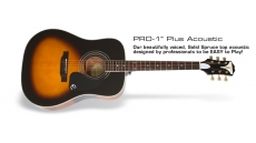 PRO-1 Plus Acoustic