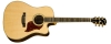 Songwriter Deluxe Standard EC