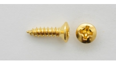 SR04G Pickguard screw, F-style