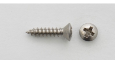 SR04N Pickguard screw, F-style