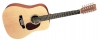 D12X1AE 12-String Dreadnought Acoustic-Electric Guitar