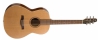 032525 Coastline Folk Cedar QIT