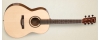 033706 Woodland Pro Folk Spruce HG EQ